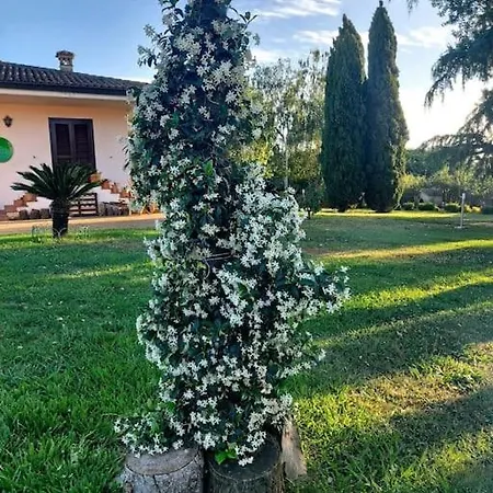 L'oasi Della Pace