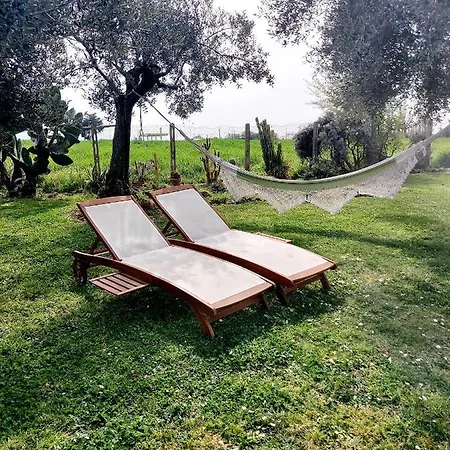 Villa L'oasi Della Pace