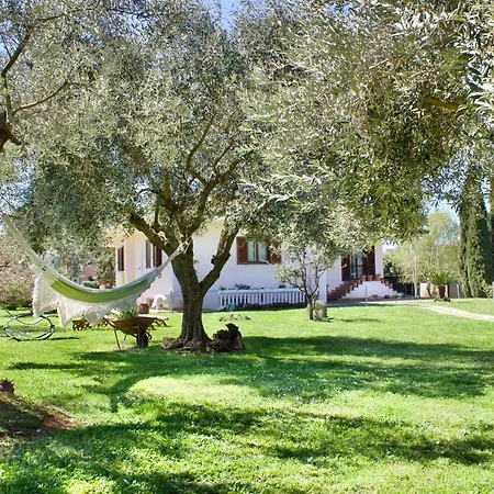 L'oasi Della Pace