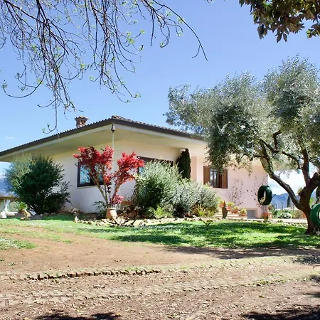 L'oasi Della Pace Villa Cisterna di Latina