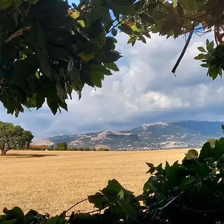L'oasi Della Pace