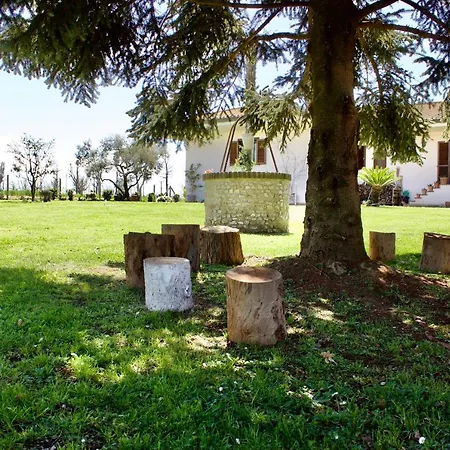 L'oasi Della Pace Cisterna di Latina
